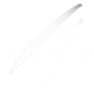 FIS, Internationaler Skiverband